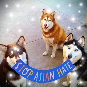 Meet your Posher, Edgar